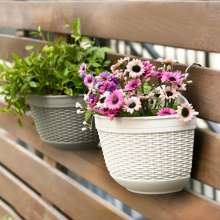 Meixuan Plastic Industry .Plastic wall hanging semi-circular flowerpot .Flower pot.