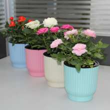 Meixuan lazy flowerpot automatic water-absorbing green plant pot. Hydroponic creative succulent resin plastic flowerpot