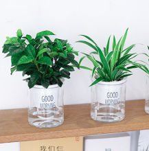 Meixuan lazy flower pot. Automatic water absorption transparent round plastic hydroponic flower pot. Creative resin succulents