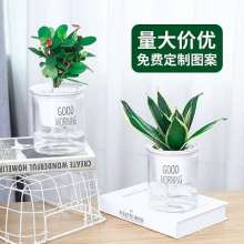 Meixuan lazy flower pot. Automatic water absorption transparent round plastic hydroponic flower pot. Creative resin succulents