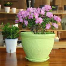 Plastic flower pots. Balcony thickened large pots. Round large flower pots with trays. Potted plants. Green fruit tree flower pots