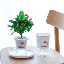 Meixuan transparent lazy flowerpot. Self-absorbing water flowerpot. Potted plant. Visual water level plastic flowerpot small potted green plant