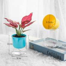 Meixuan Plastic Industry Macaron Color Transparent Plastic Flower Pot Creative Straight Succulent Pot. Simple Wind Self-absorbent Resin Flower Pot. Potted Plant