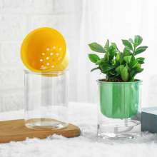 Meixuan Plastic Industry Macaron Color Transparent Plastic Flower Pot Creative Straight Succulent Pot. Simple Wind Self-absorbent Resin Flower Pot. Potted Plant