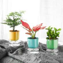 Meixuan Plastic Industry Macaron Color Transparent Plastic Flower Pot Creative Straight Succulent Pot. Simple Wind Self-absorbent Resin Flower Pot. Potted Plant