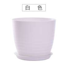 Meixuan creative swirl pattern personality small flower pot. Plastic round with tray green dill orchid succulent flower pot. Potted plant