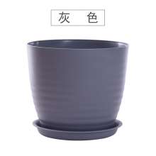 Meixuan creative swirl pattern personality small flower pot. Plastic round with tray green dill orchid succulent flower pot. Potted plant