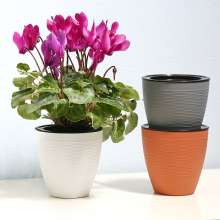 Meixuan Plastic Industry Self-absorbent lazy flowerpot. Plastic flowerpot Potted plant. PP resin imitation rattan hydroponic green plant small pot