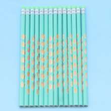 Pencil. Pen. Stationery for primary school students. Prize. Pen with rubber hole. Macaron color matching pen. Pencil